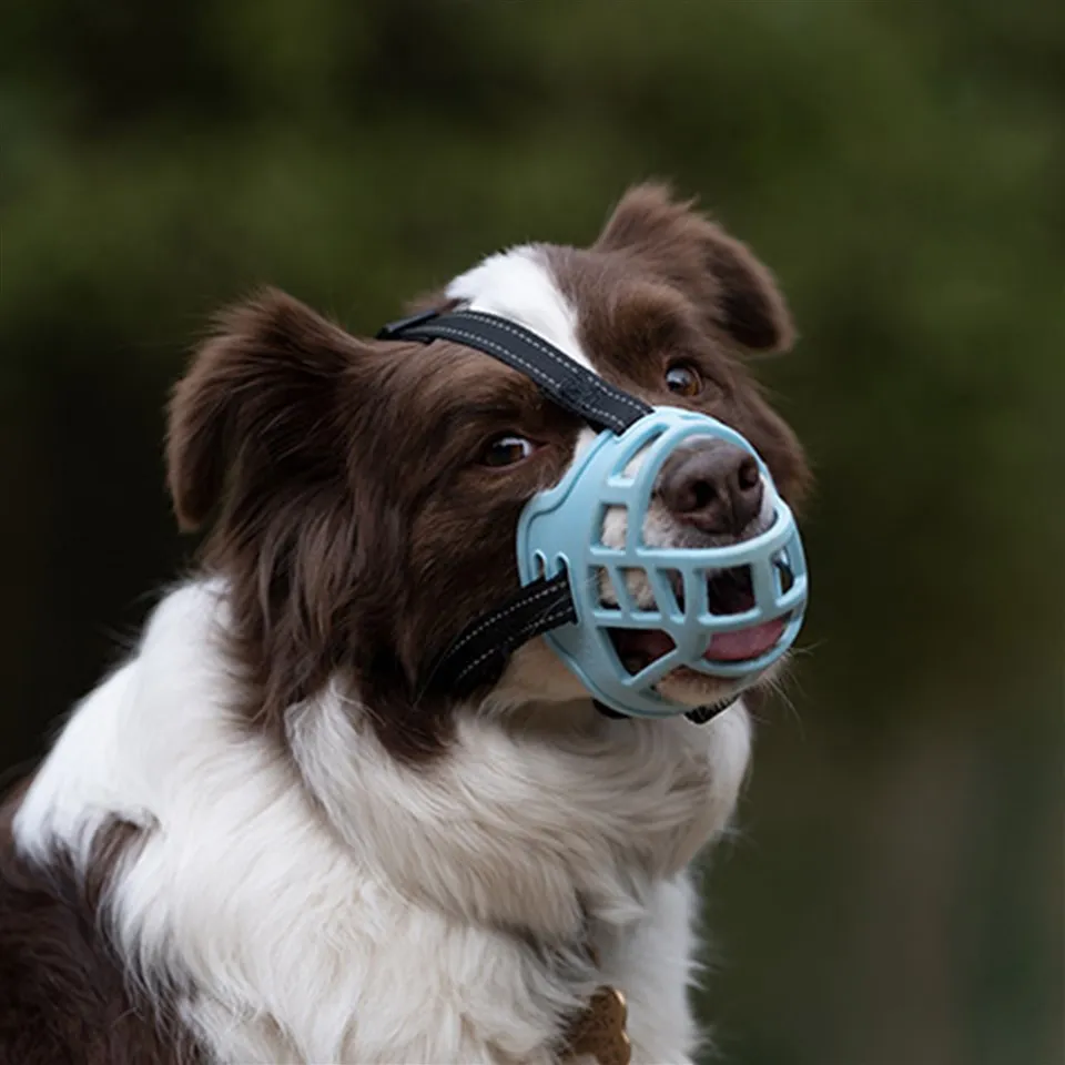 Morrió per a gos d'estil cistella