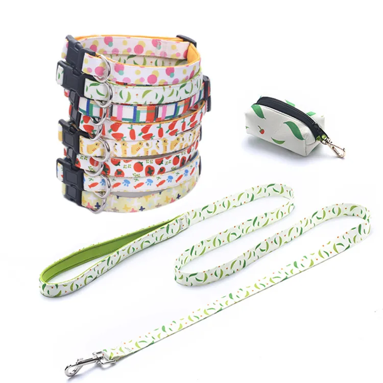 Set de tres peces personalitzat per a mascotes amb collar